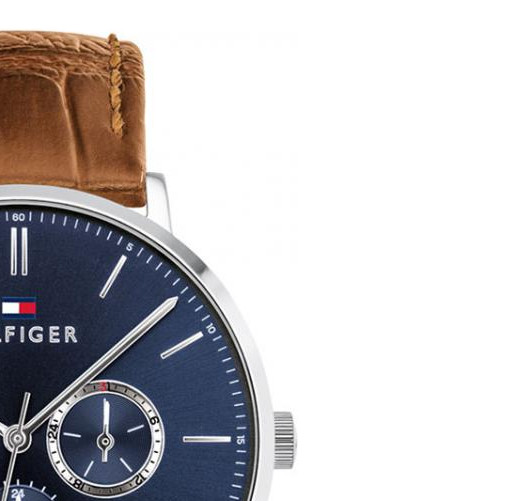 Tommy Hilfiger Dane 1710375 5
