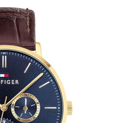 Tommy Hilfiger Dane 1710376 5