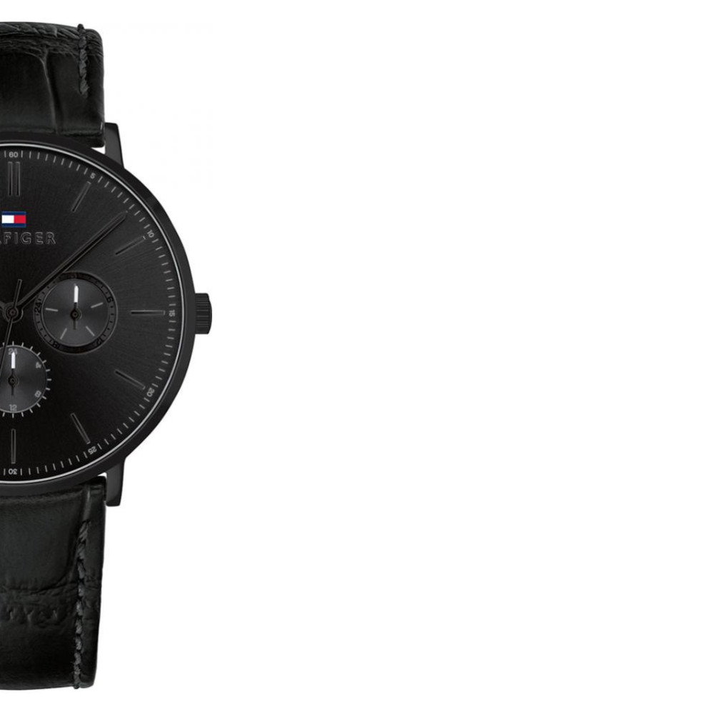 Tommy Hilfiger Dane 1710378 6