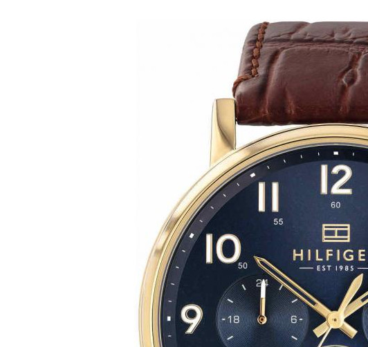 Tommy Hilfiger Dane 1710380 4