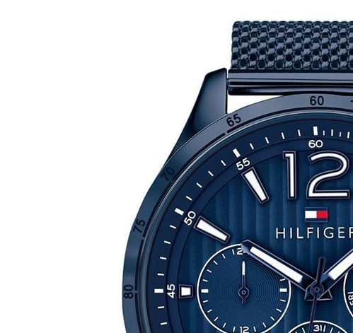 Tommy Hilfiger Gavin 1791471 4