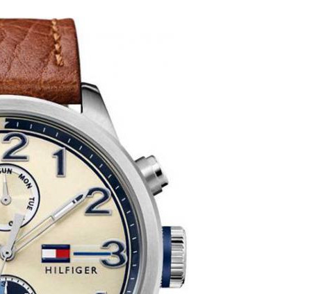 Tommy Hilfiger Męskie 1791239 5