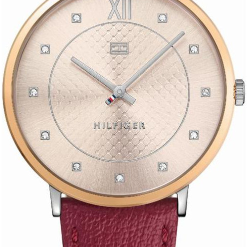 Tommy Hilfiger Sloane 1781810 2