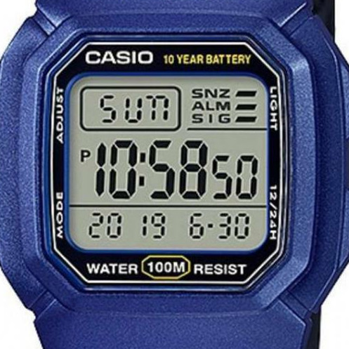 Zegarek Casio Collection W800HM2A 2