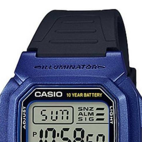 Zegarek Casio Collection W800HM2A 3