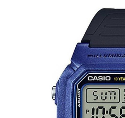 Zegarek Casio Collection W800HM2A 4