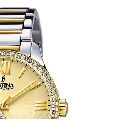 Zegarek Festina Classic F204861 5