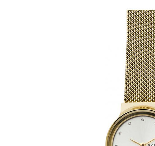 Zegarek Skagen damskie SKW1108 4