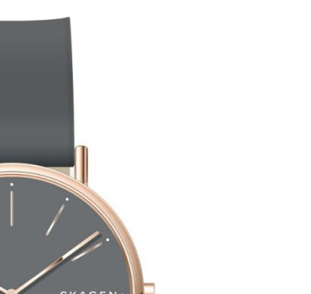 Zegarek Skagen damskie SKW2794 5