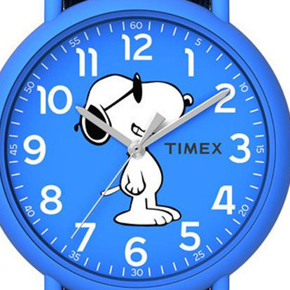 Zegarek Timex Weekender TW2T65800 2