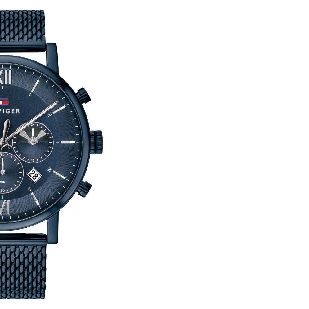 Zegarek Tommy Hilfiger Evan 1710397 6
