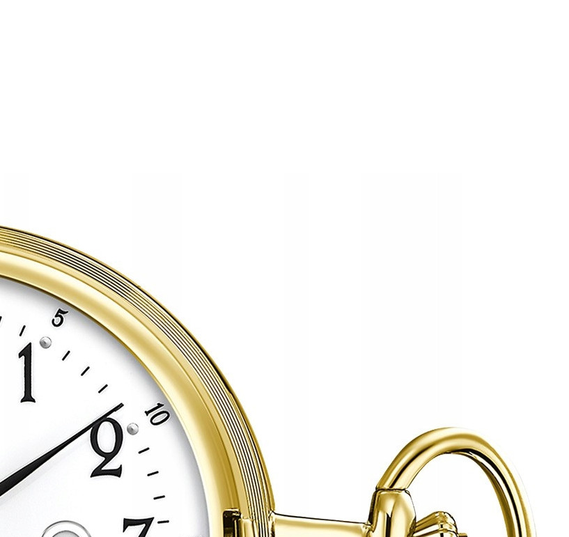 Festina Classic F2028/1 - zegarek męski 5