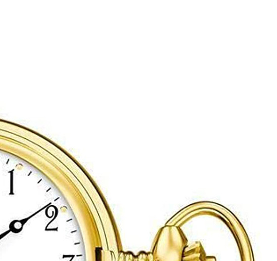 Festina Classic F2029/1 - zegarek męski 5