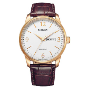 Citizen Leather BM8553-16AE - zegarek męski