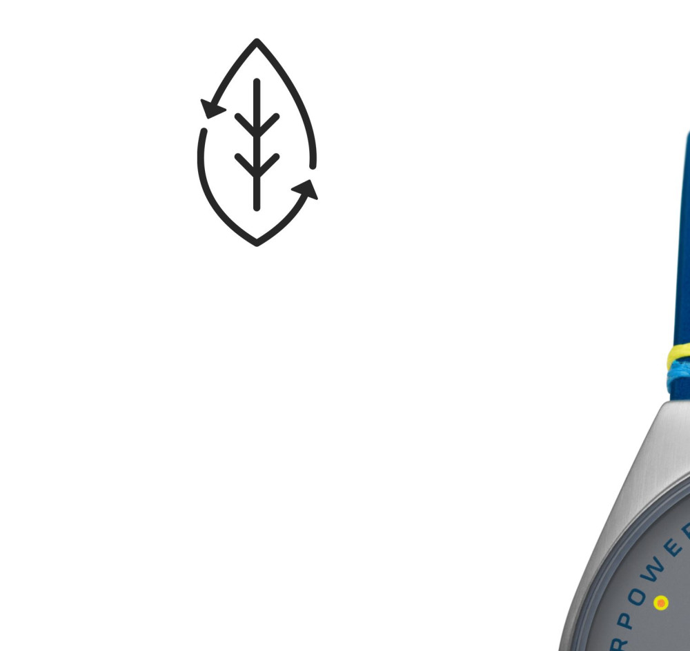 Skagen GRENEN SKW6873 - zegarek damski 4