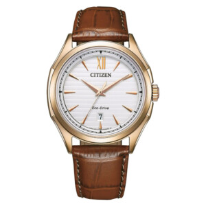 Citizen Eco-Drive AW1753-10A - zegarek męski