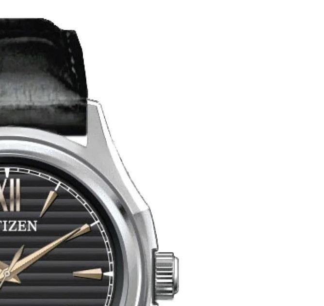 Citizen Eco-Drive FE2110-14E - zegarek damski 5
