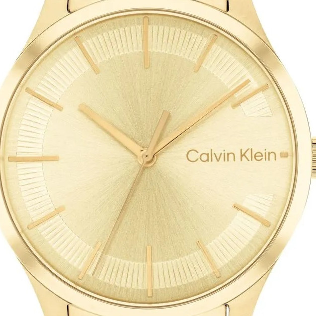 Calvin Klein ICONIC BRACELET 25200043 - zegarek damski 2