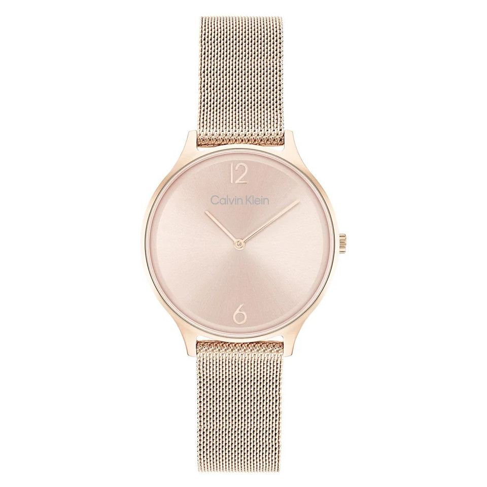Calvin Klein TIMELESS MESH 25200002 - zegarek damski 1
