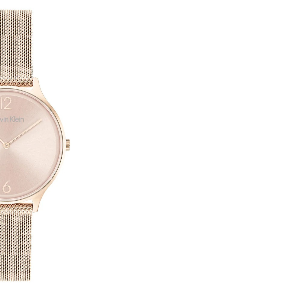 Calvin Klein TIMELESS MESH 25200002 - zegarek damski 6