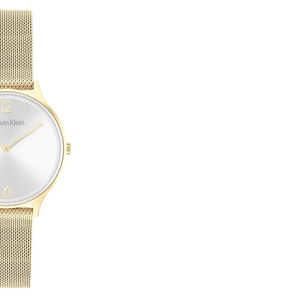Calvin Klein TIMELESS MESH 25200003 - zegarek damski 6