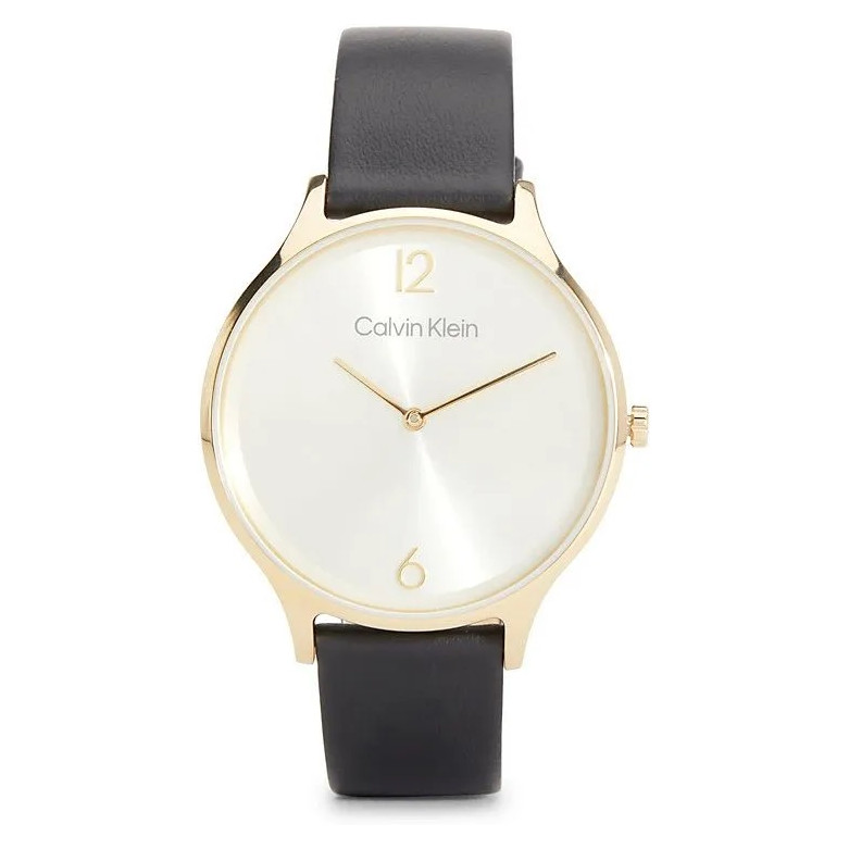 Calvin Klein TIMELESS MESH 25200008 - zegarek damski 1
