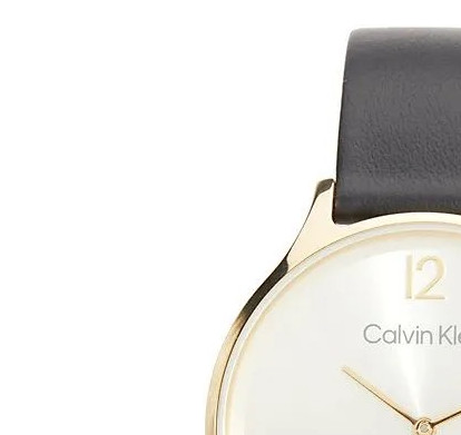 Calvin Klein TIMELESS MESH 25200008 - zegarek damski 4