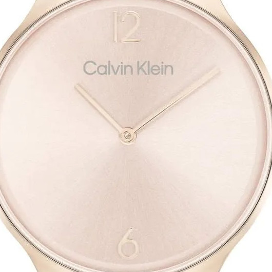 Calvin Klein TIMELESS MESH 25200009 - zegarek damski 2