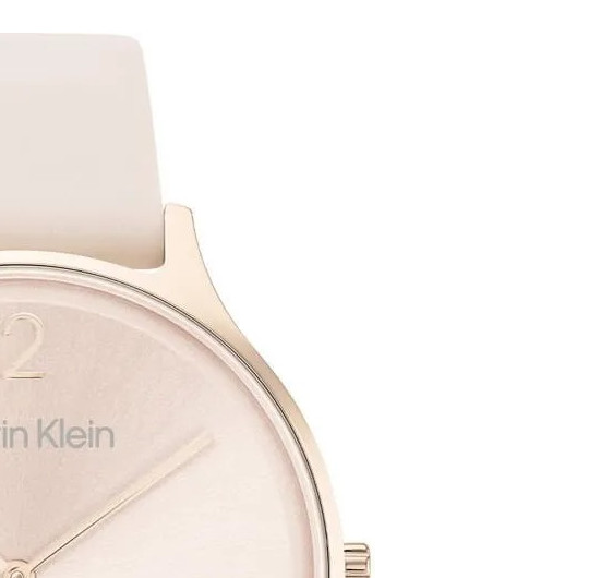 Calvin Klein TIMELESS MESH 25200009 - zegarek damski 5