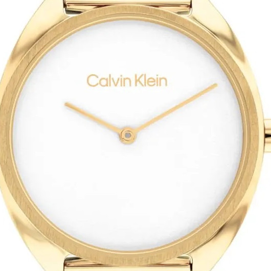 Calvin Klein CK ADORN 25200276 - zegarek damski 2