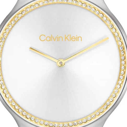 Calvin Klein Timeless 25100002 - zegarek damski 2