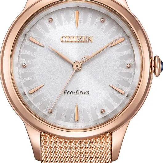 Citizen Lady EM1153-88A - zegarek damski 2