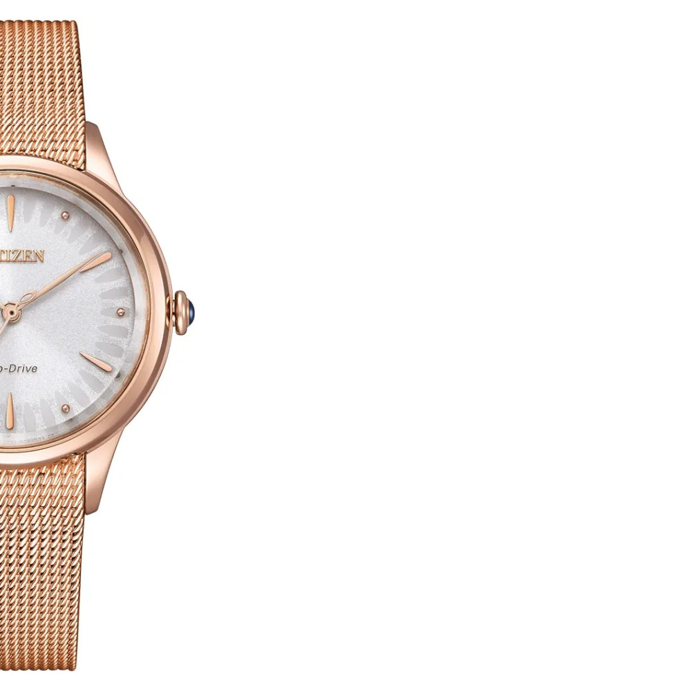 Citizen Lady EM1153-88A - zegarek damski 6