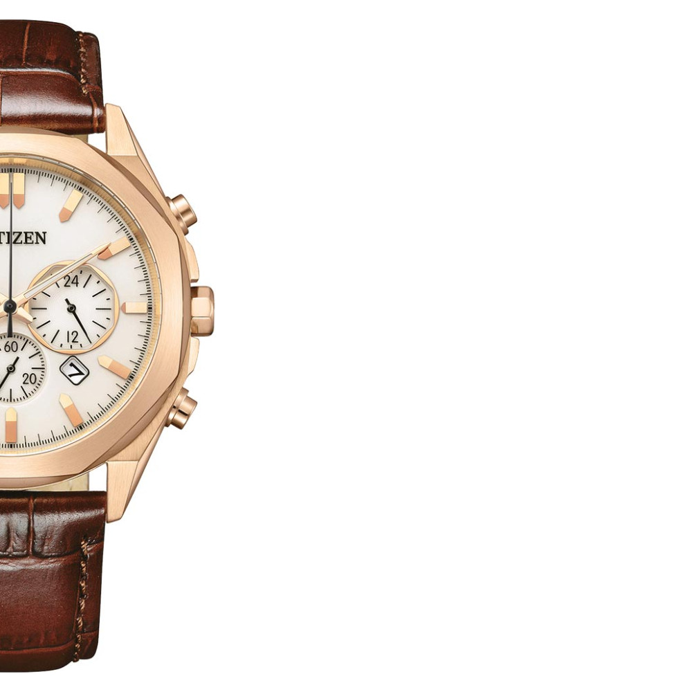 Citizen CA4593-15A 6