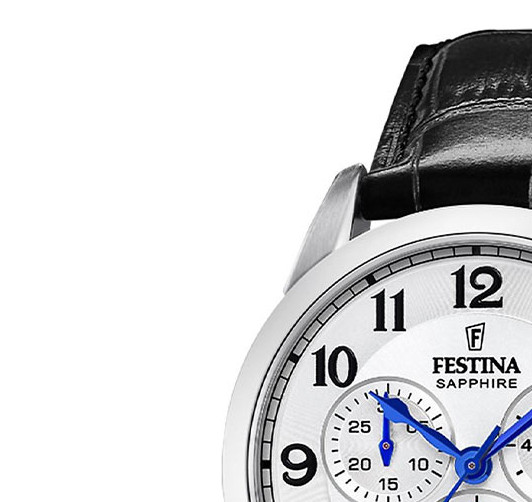 Festina Swiss Made F20041-1 - zegarek męski 4