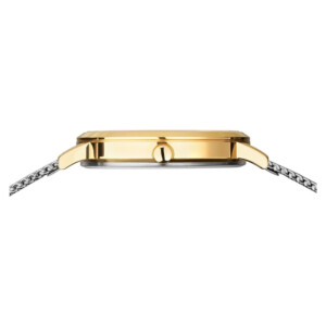 Bering 18634-010 Titanium - zegarek damski