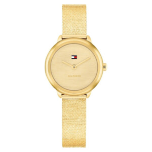 Tommy Hilfiger 1782811 Demi - zegarek męski