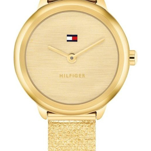 Tommy Hilfiger 1782811 Demi - zegarek męski 2
