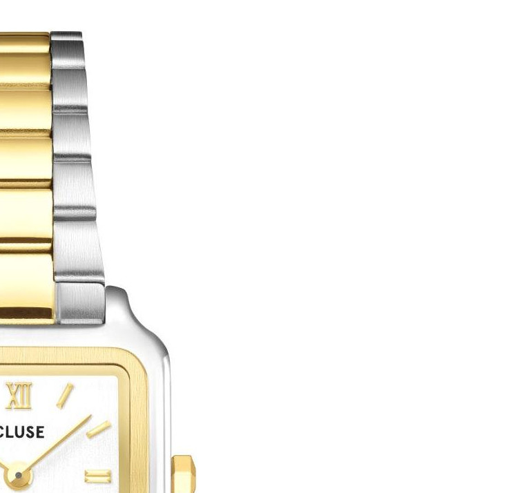 Cluse CW15501 Gracieuse Mini Steel Two-tone - zegarek damski 5