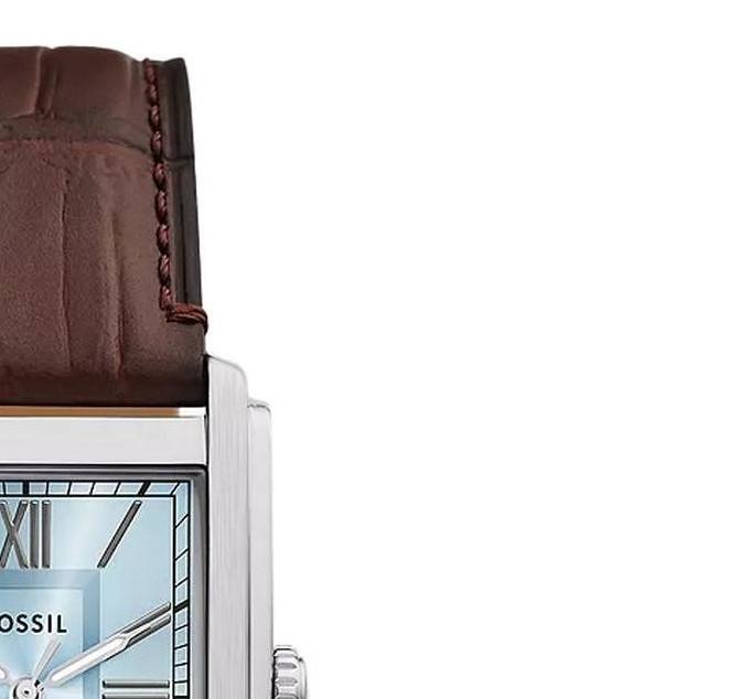 Fossil FS6110 Carraway Brown Croco Leather 30mm - zegarek męski 5