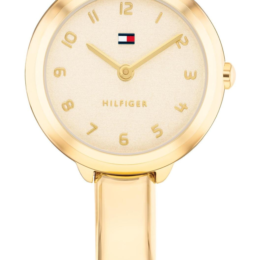 Tommy Hilfiger 1782895 - zegarek damski 2