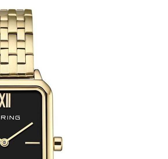 Bering 17423-732 - zegarek damski 5