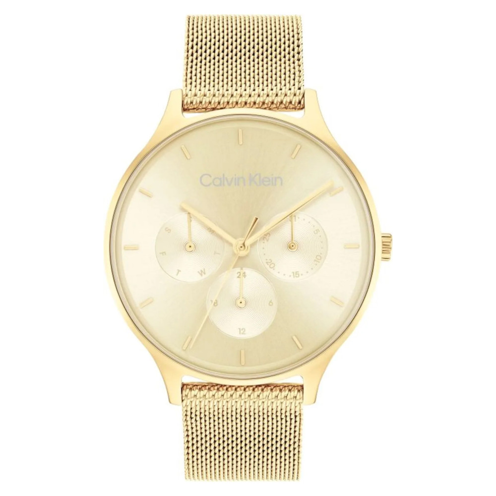 Calvin Klein 25200103 TIMELESS MESH MF - zegarek damski 1