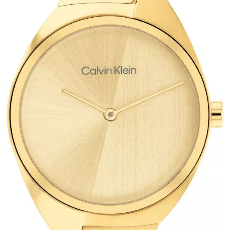 Calvin Klein 25200235 CHARMING - zegarek damski 2