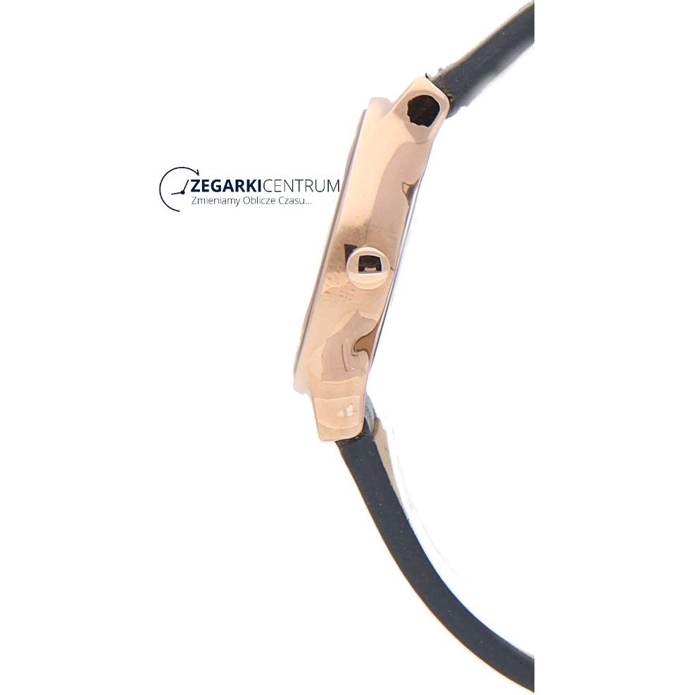 Skagen Damskie SKW2669 8