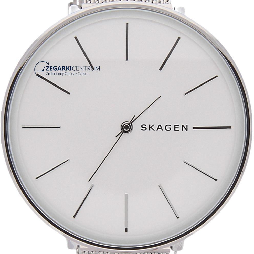 Skagen Damskie SKW2687 8