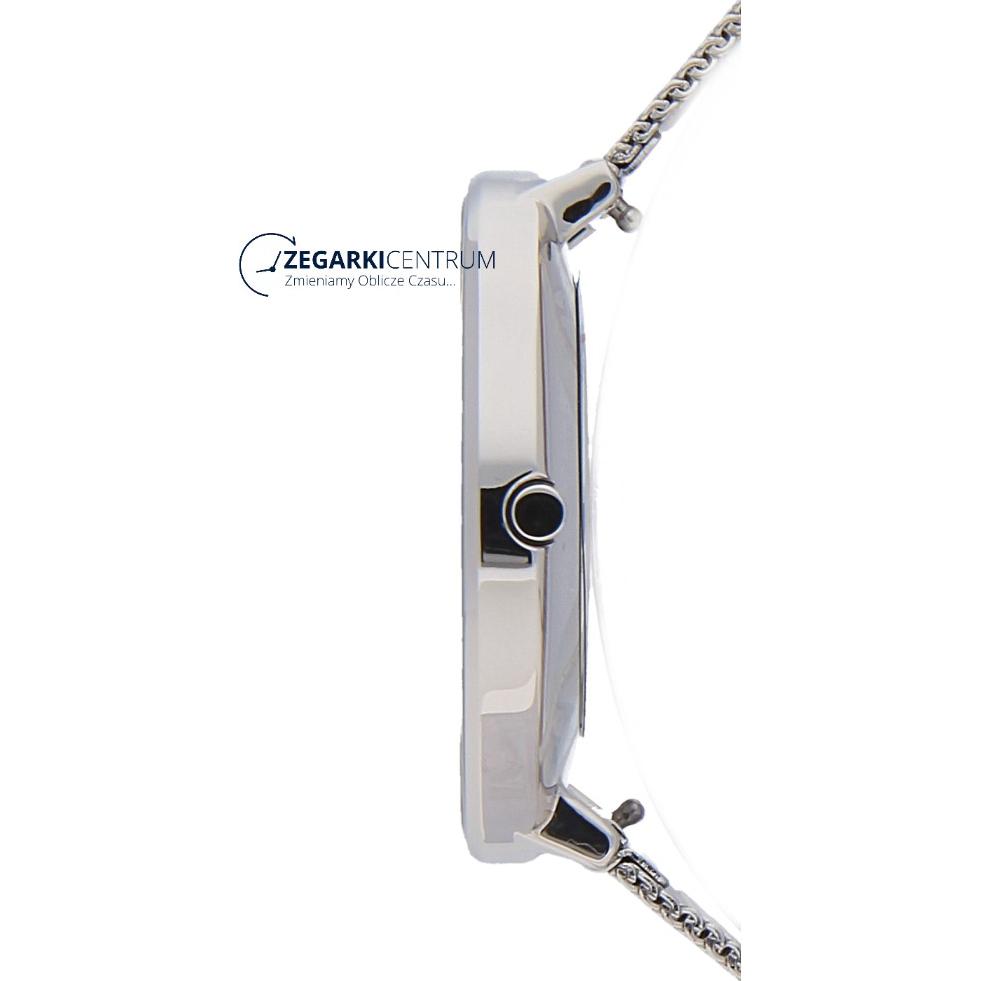 Skagen Damskie SKW2687 9