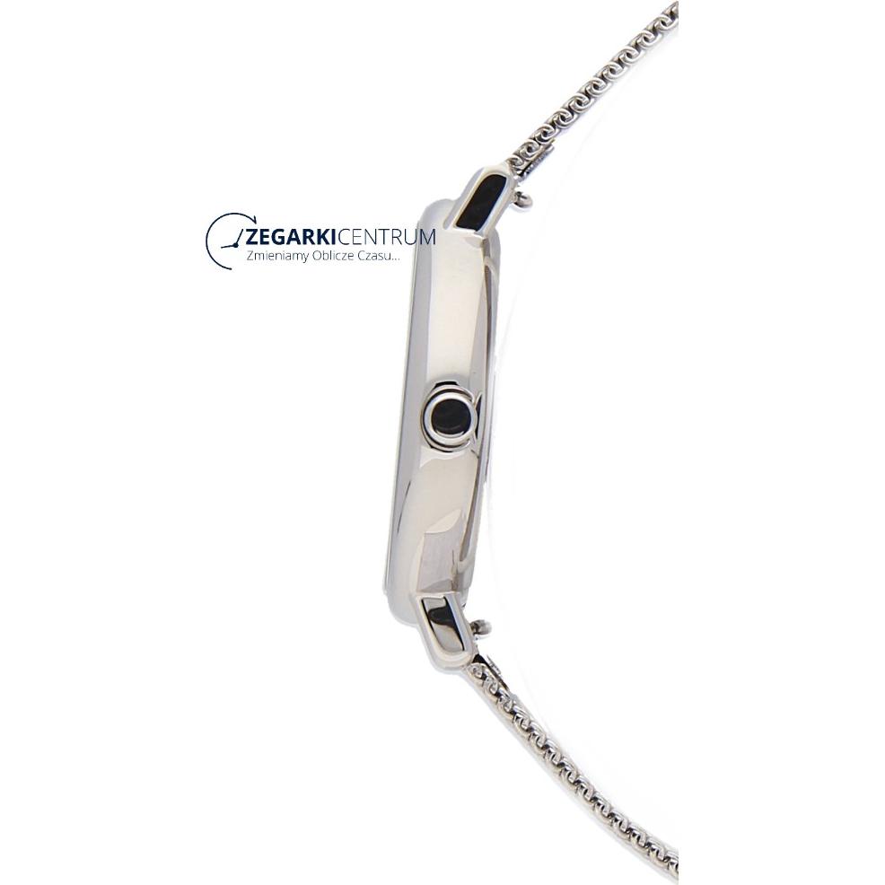 Skagen Damskie SKW2692 8