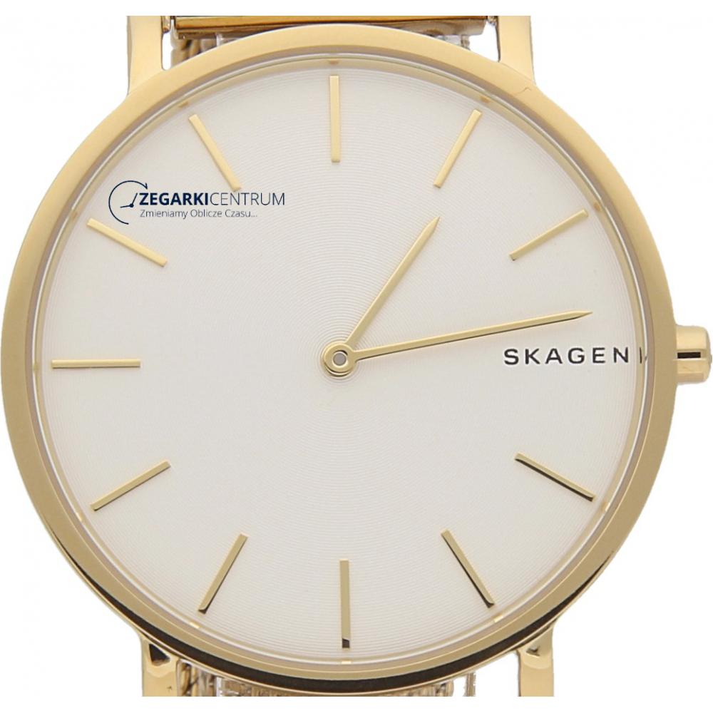 Skagen Męskie SKW6443 7