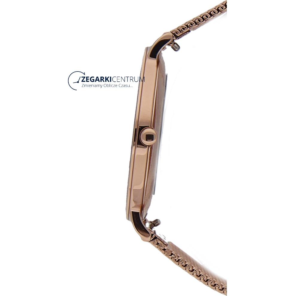 Skagen Damskie SKW2694 8